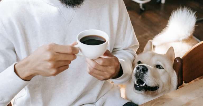 Why Does My Dog Smell Like Fritos? Exploring Causes & Solutions