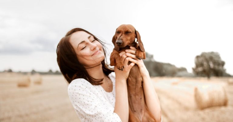 Why Is My Dog Constantly Licking His Lips: Causes and Solutions
