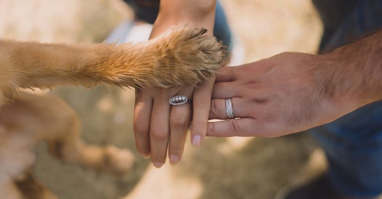Why Do Dogs Chew Their Feet? Understanding the Reasons & Solutions | Blog Post