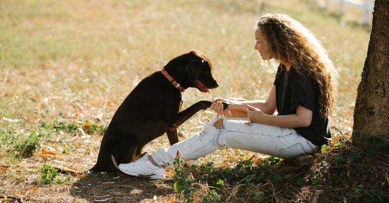 Why Dogs Can’t Have Chocolate: Dangers, Symptoms & Prevention Tips