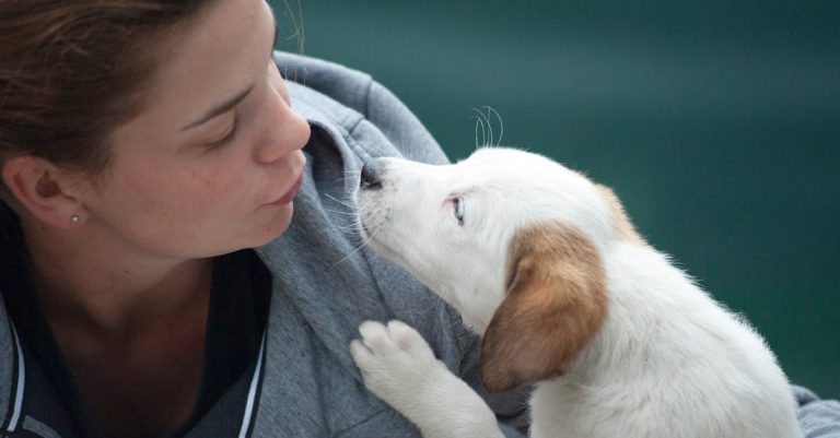 Why Is My Female Dog Biting Her Paws? Common Reasons and Effective Solutions